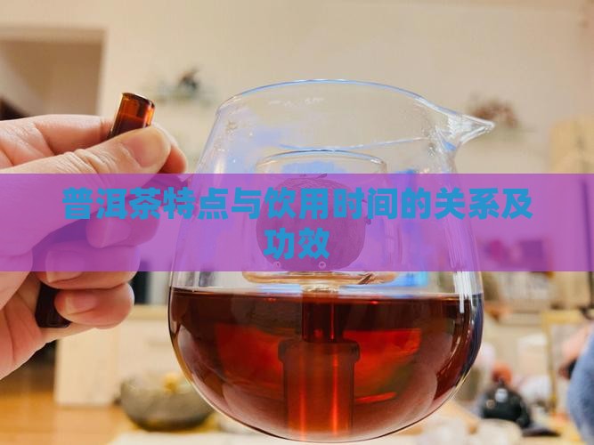 普洱茶特点与饮用时间