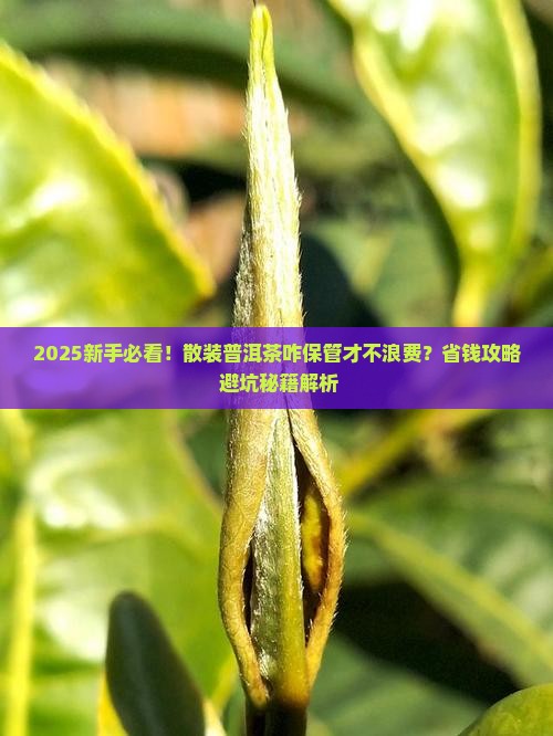 散装普洱茶咋样保管