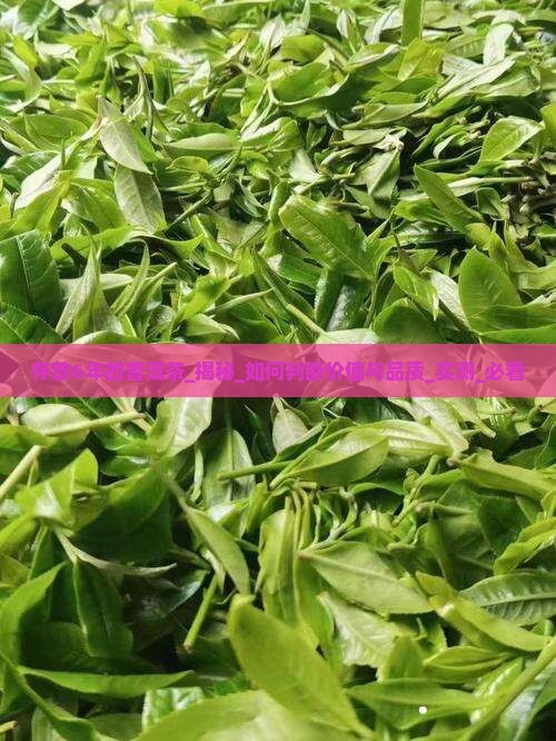 存放6年的普洱茶
