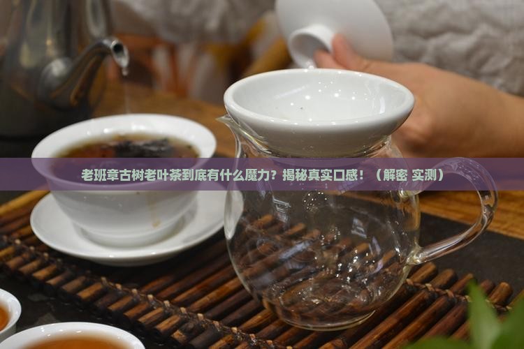 老班章古树老叶茶特点