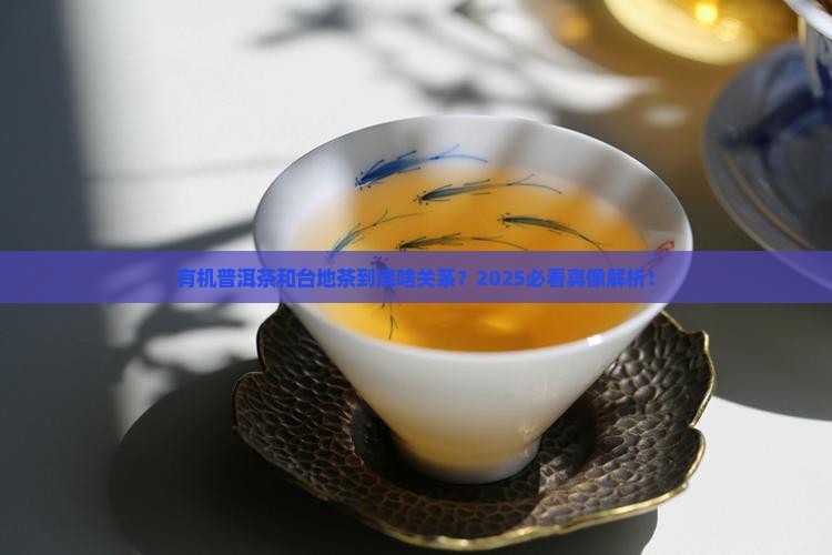 有机普洱茶是台地吗