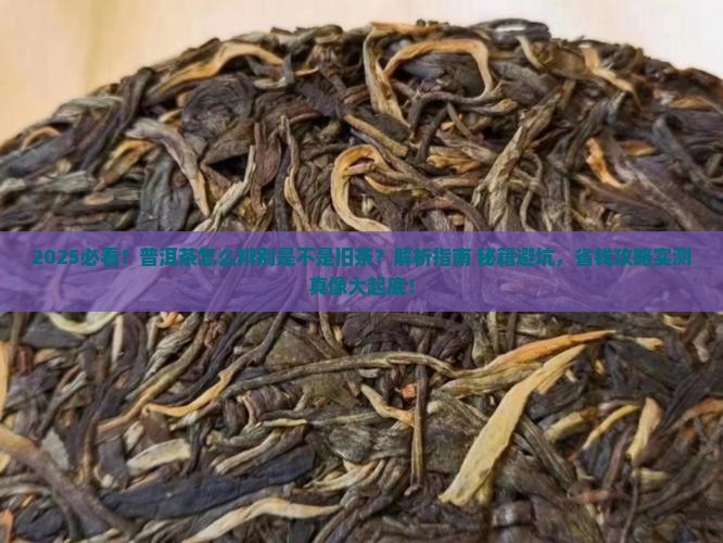 普洱茶怎么辨别是不是旧茶