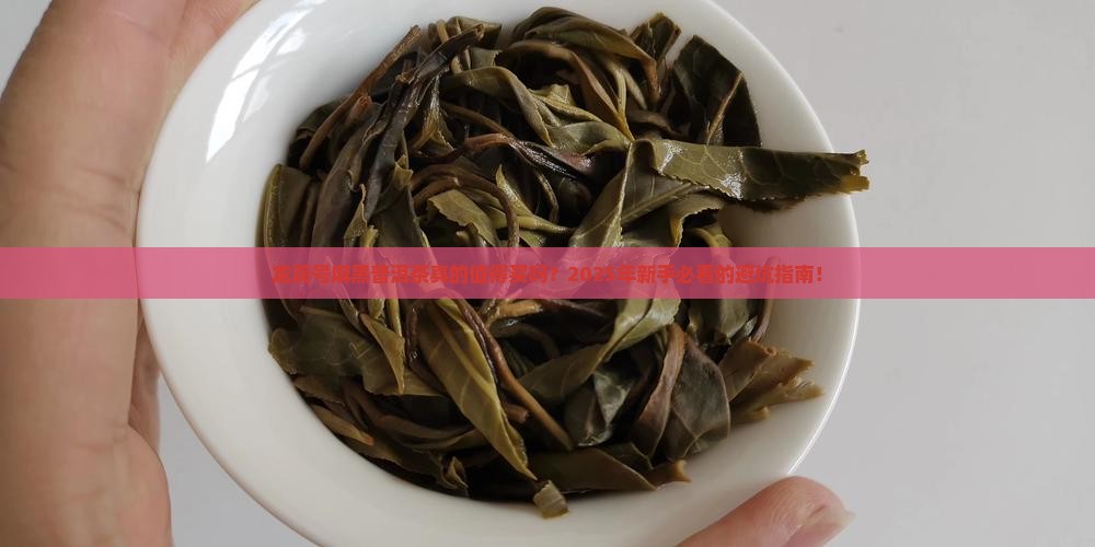 龙润号麻黑普洱茶
