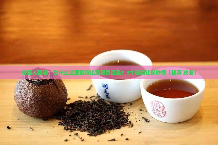 东莞为什么能储存好的普洱茶呢