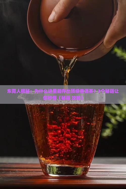 东莞为什么能储存好的普洱茶呢