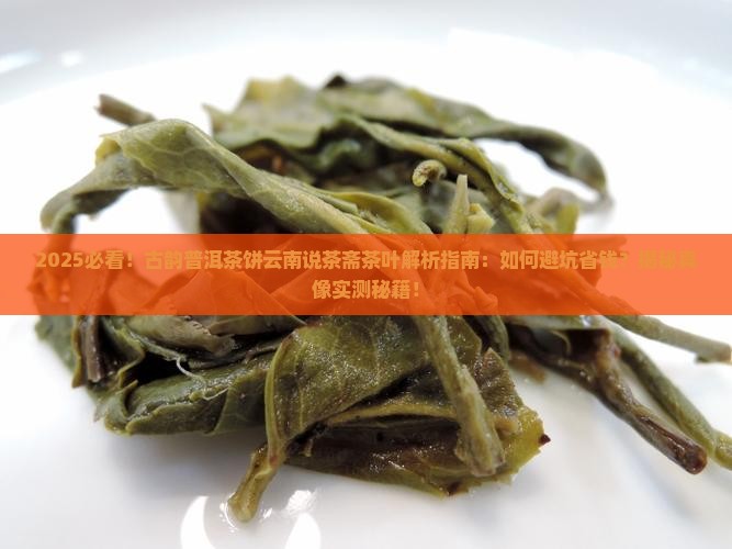 古韵普洱茶饼云南说茶斋茶叶