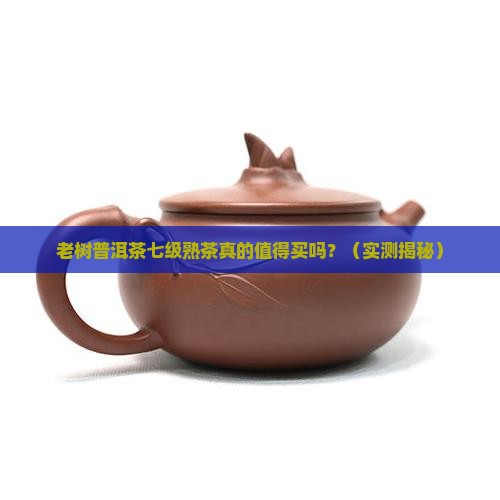 老树普洱茶七级熟茶好吗