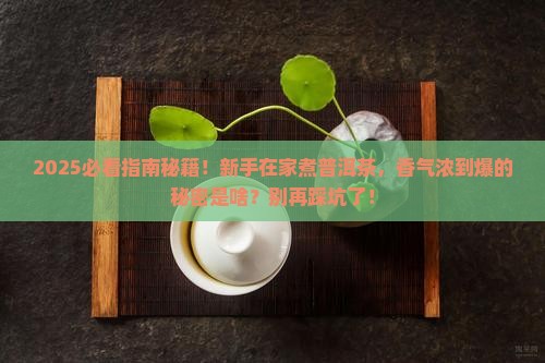 普洱茶怎么煮才会香气浓