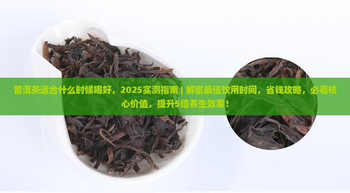 普洱茶适合什么时候喝好