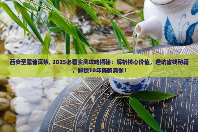 西安圣露普洱茶