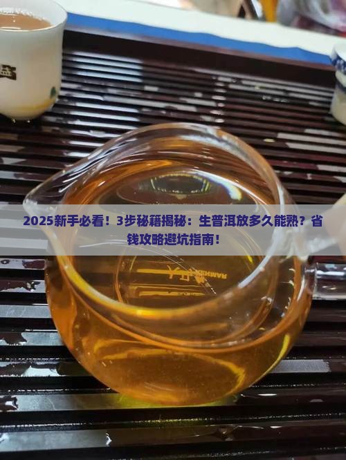 生普洱放成熟普洱茶