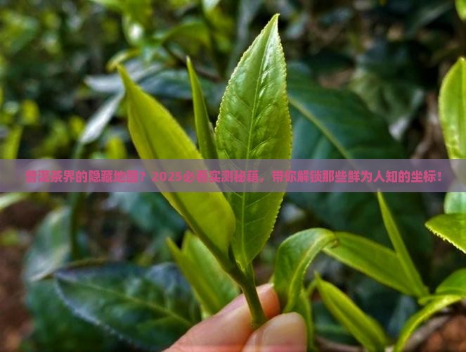 普洱茶著名坐标
