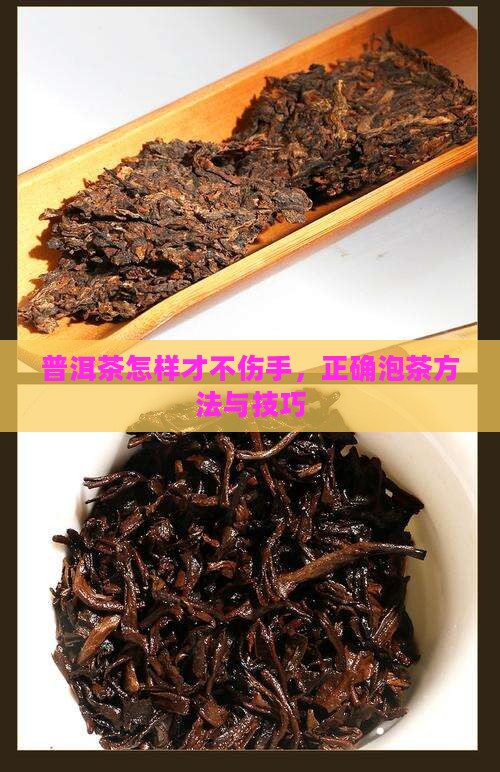 普洱茶怎样才不伤手