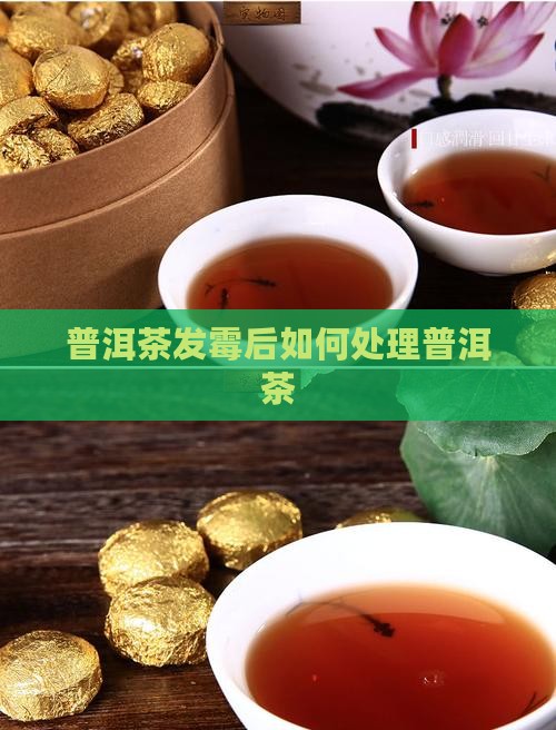 普洱茶发霉后怎么洗掉