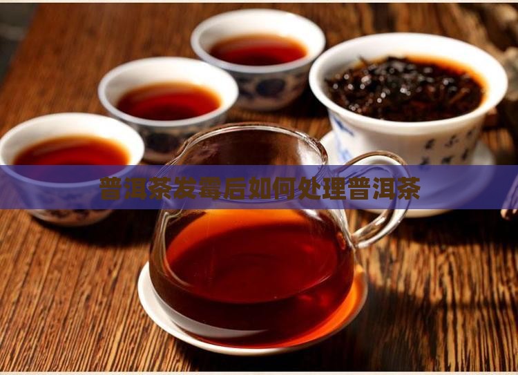普洱茶发霉后怎么洗掉