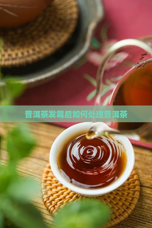 普洱茶发霉后怎么洗掉