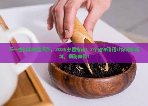 五一古树单株普洱茶