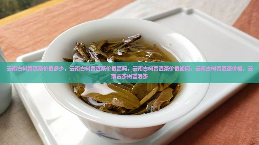 云南古树普洱茶价值