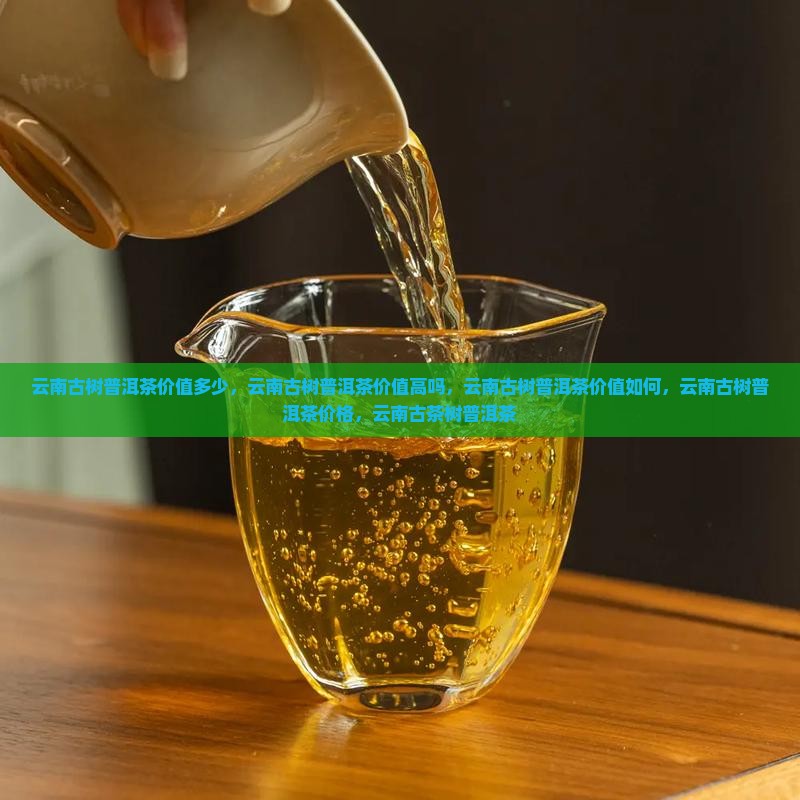 云南古树普洱茶价值