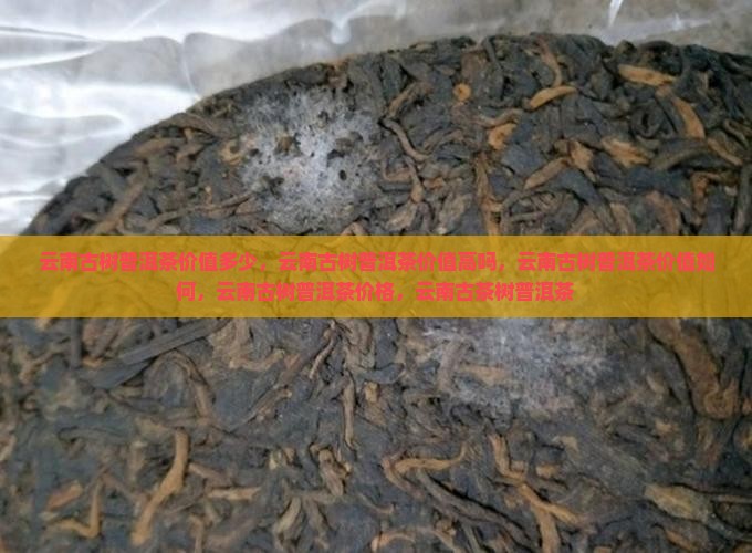 云南古树普洱茶价值
