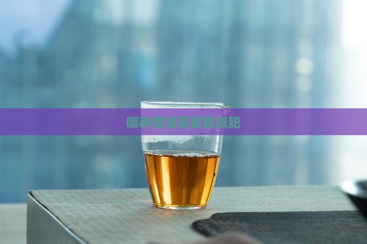 哪种普洱茶更能减肥