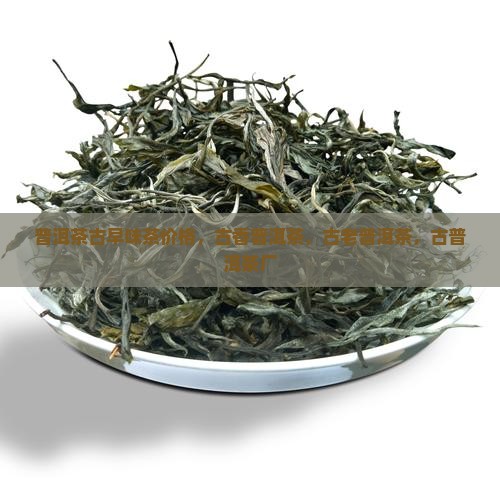 普洱茶古早味茶