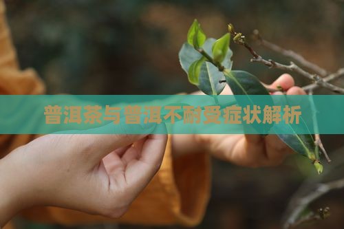 普洱茶不耐受症状