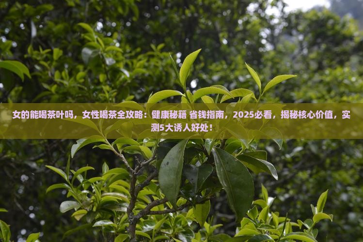 女的能喝茶叶吗