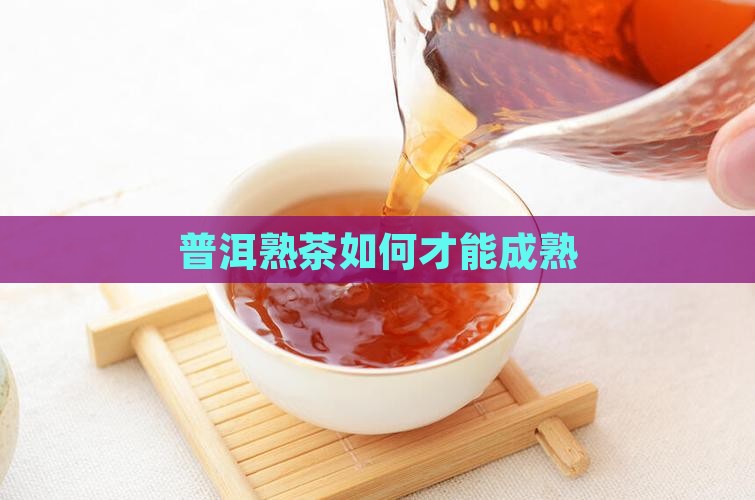 普洱茶怎么样才能成熟