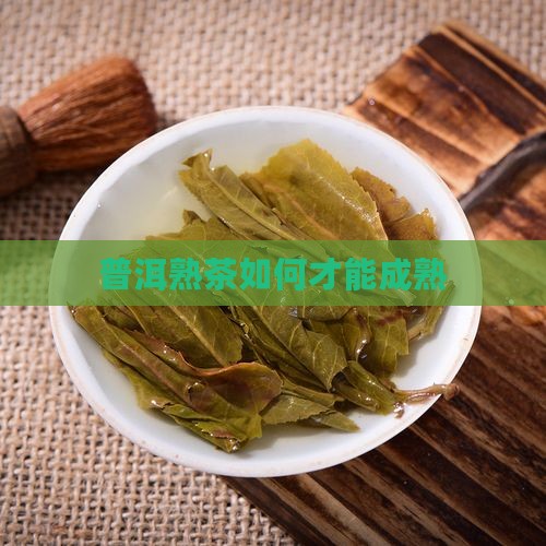 普洱茶怎么样才能成熟