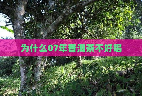 为什么07年普洱茶不好喝