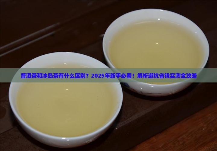 普洱茶和冰岛茶有什么区别