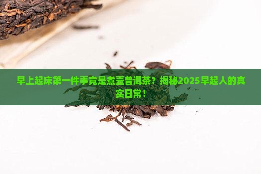 早上起来煮壶普洱茶