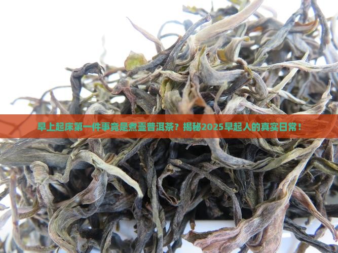 早上起来煮壶普洱茶