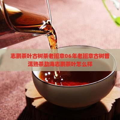 志鹏茶叶古树茶老班章