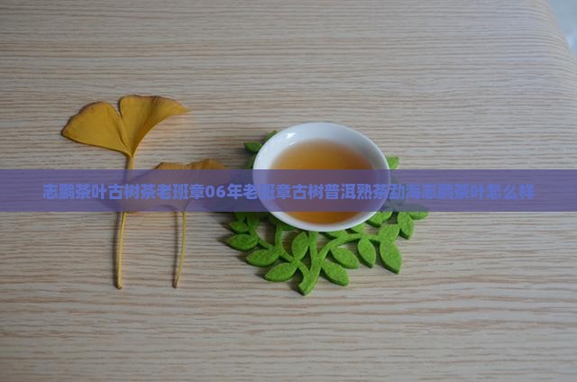 志鹏茶叶古树茶老班章