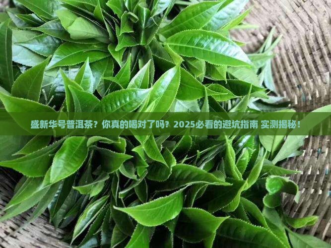 盛新华号普洱茶