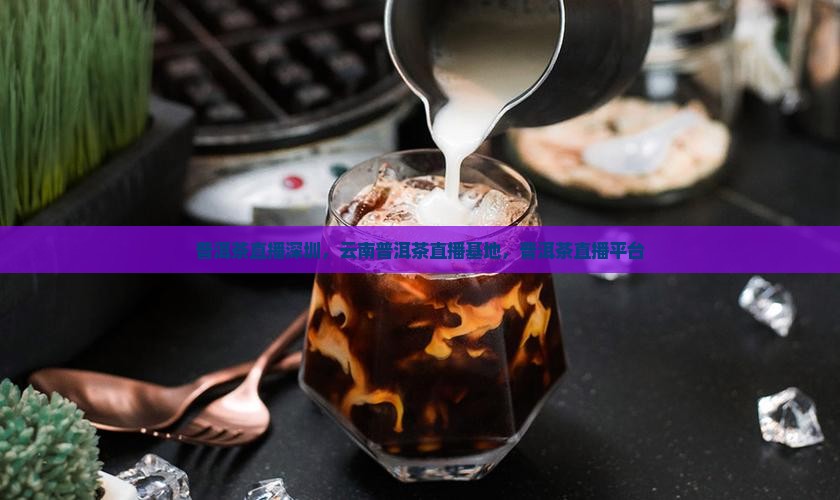 普洱茶直播深圳