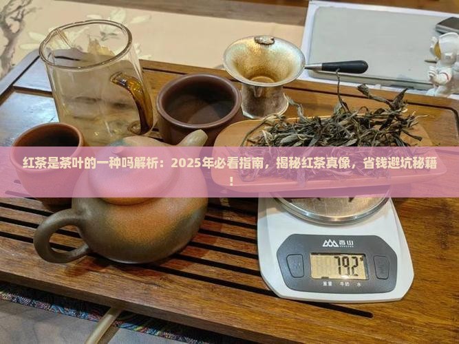红茶是茶叶的一种吗