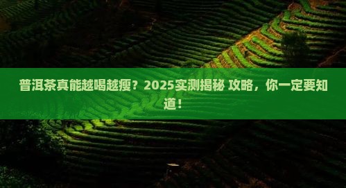普洱茶越喝越瘦吗