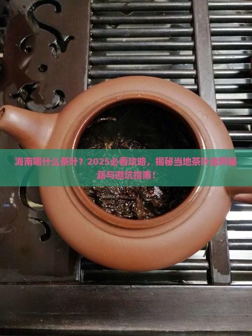 海南喝什么茶叶