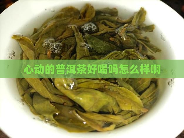 心动的普洱茶好喝吗怎么样