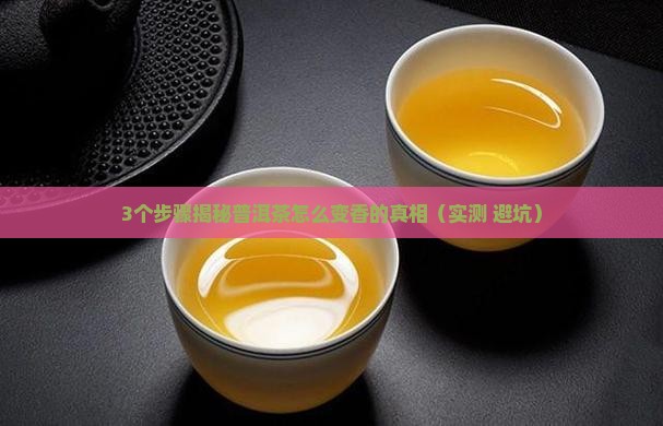 普洱茶发酵技术及原理