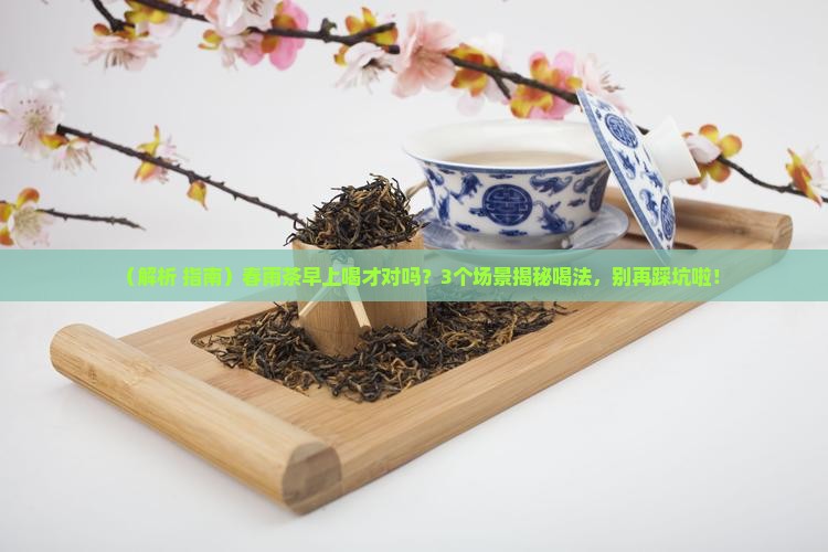 春雨茶只能早上喝吗