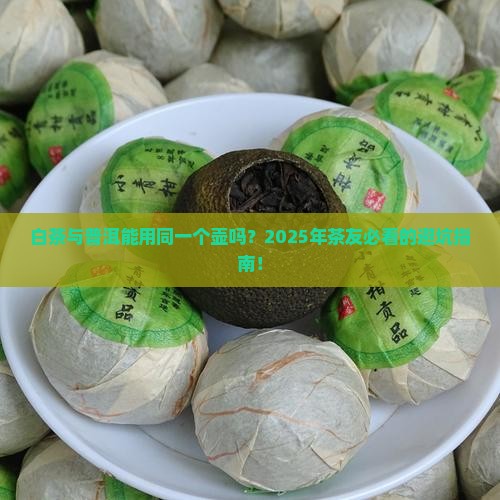 白茶与普洱用同一个壶