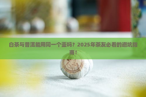 白茶与普洱用同一个壶