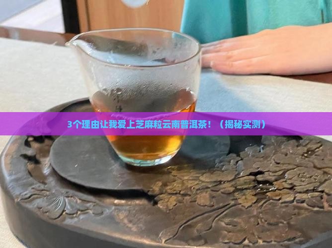 倾心芝麻粒云南普洱茶