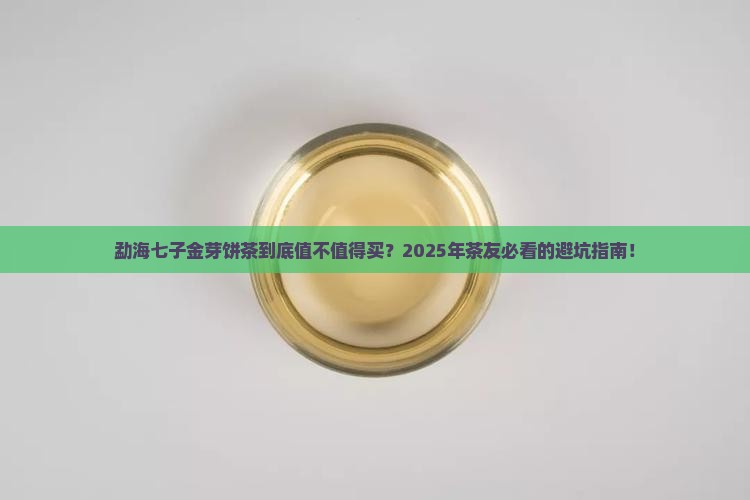 勐海七子金芽饼茶