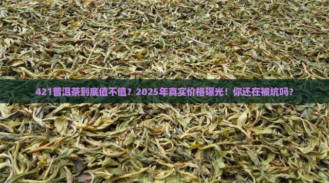 421普洱茶价格