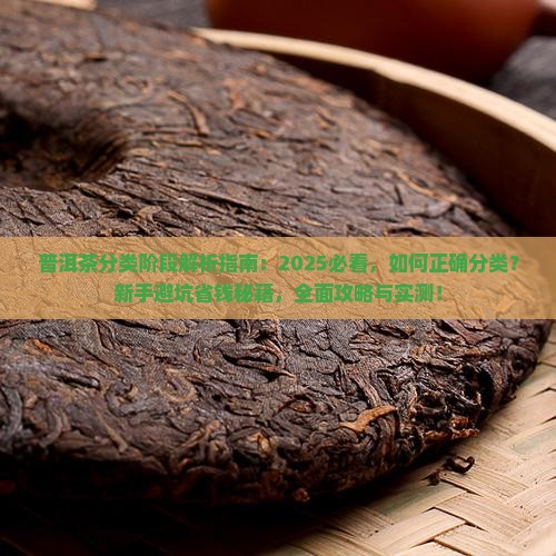 普洱茶分类阶段